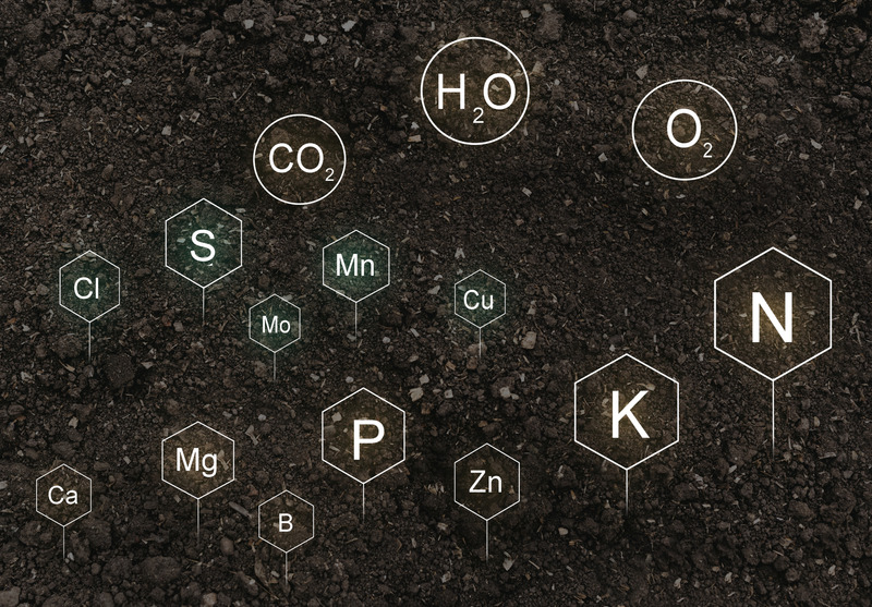 Micronutrients